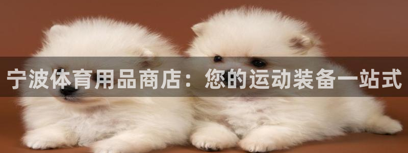 欧陆娱乐注册链接怎么弄的:宁波体育用品商店:您的运动装备一站