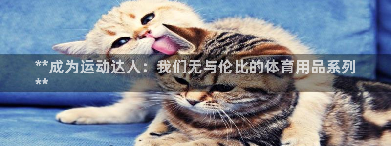 欧陆娱乐能不能玩:**成为运动达人:我们无与伦比的体育用品系