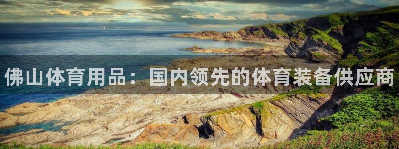 欧陆娱乐平台官网入口:佛山体育用品:国内领先的体育装备供应商